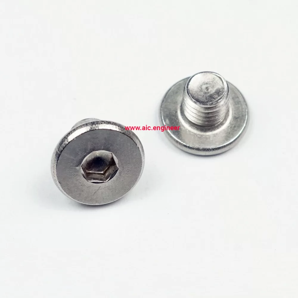 low-cap-m8x8-stainless