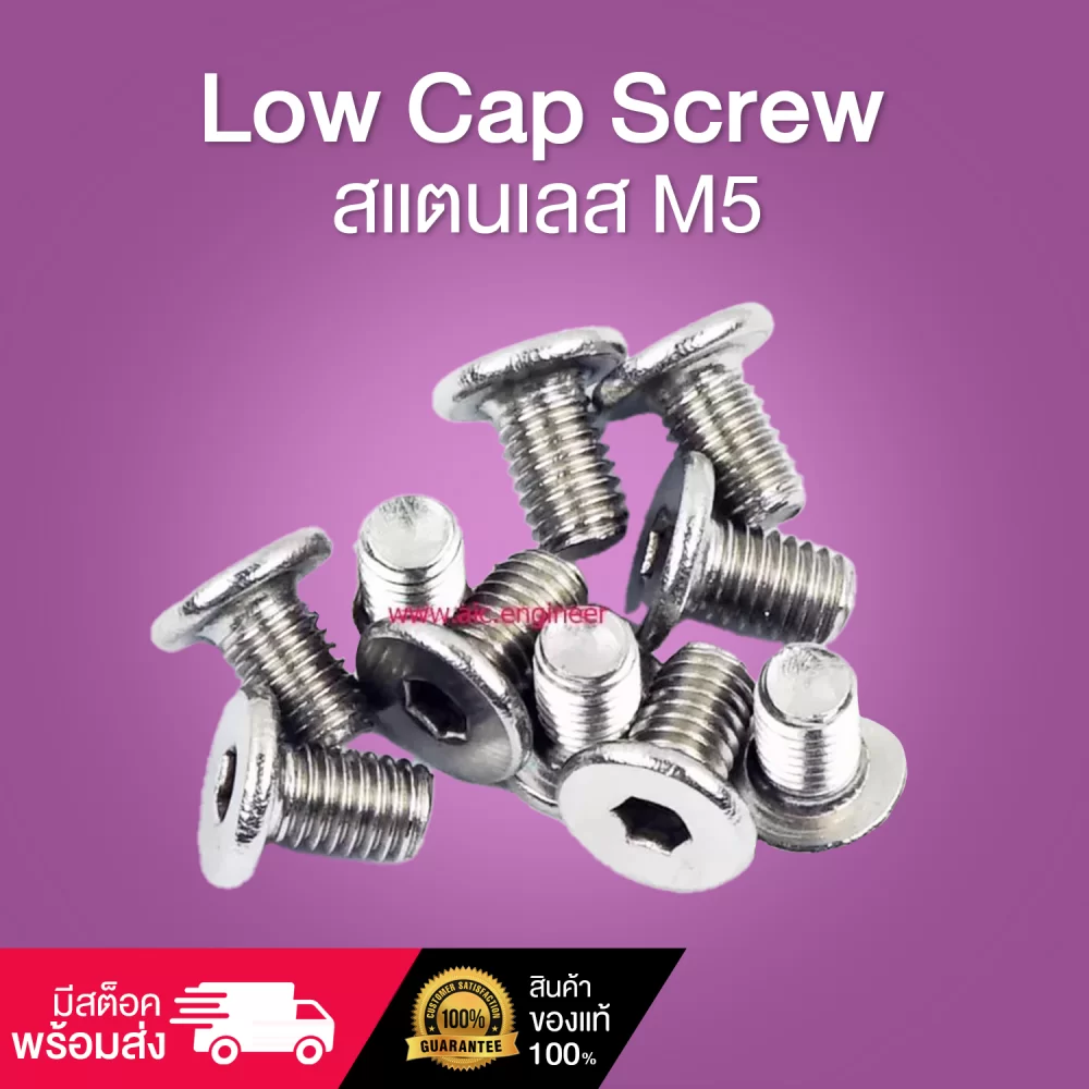 low-cap-screw-m5