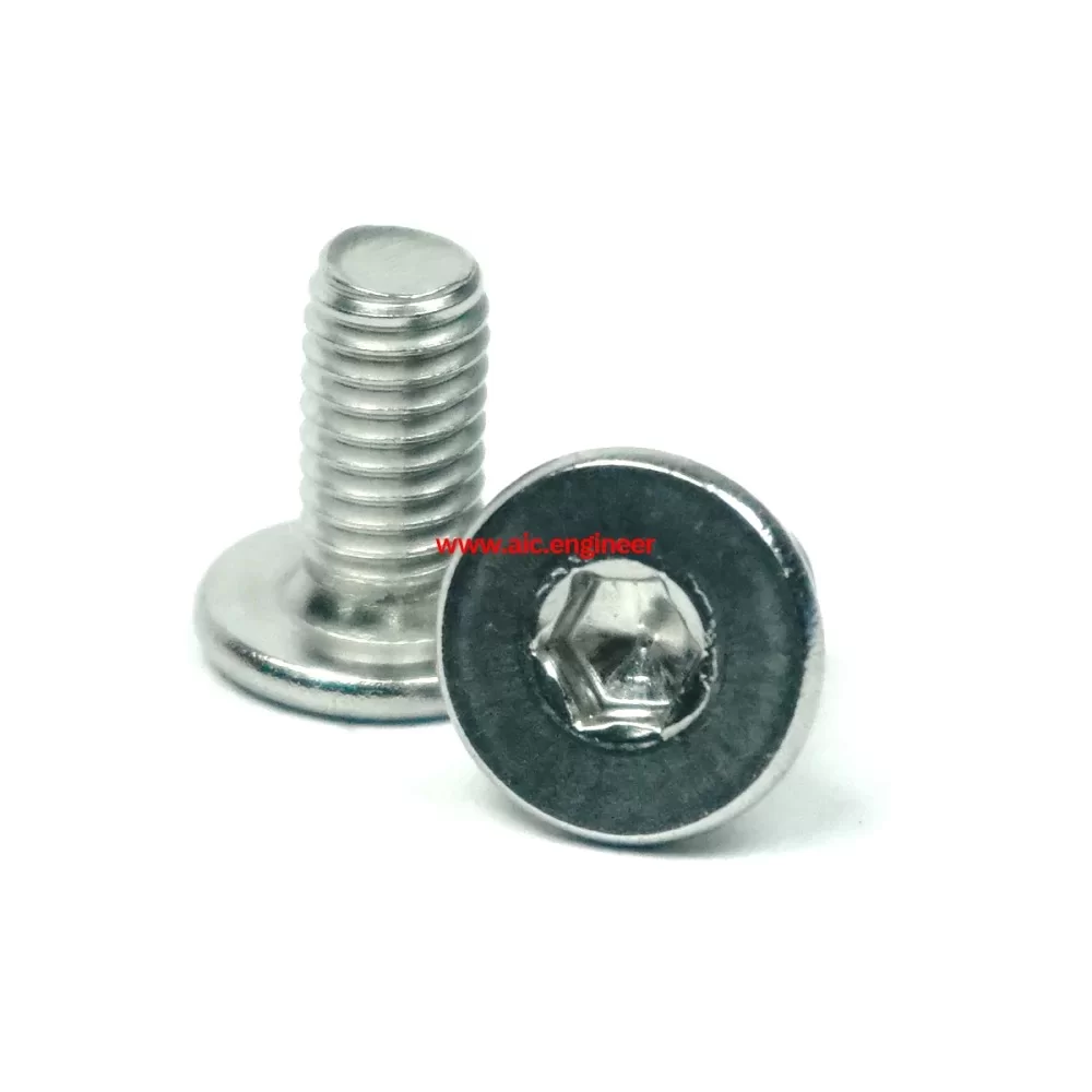 low-cap-screw-stainless-m6x12-1