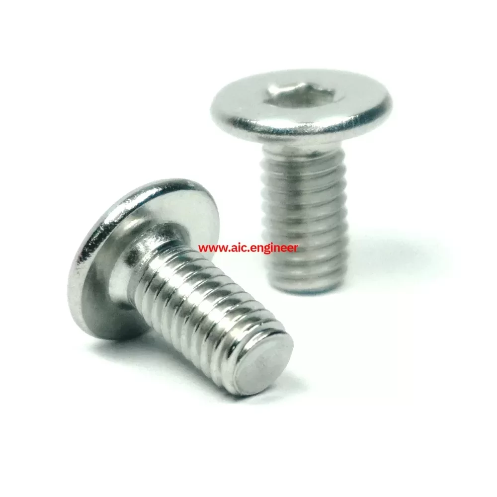 low-cap-screw-stainless-m6x12-2