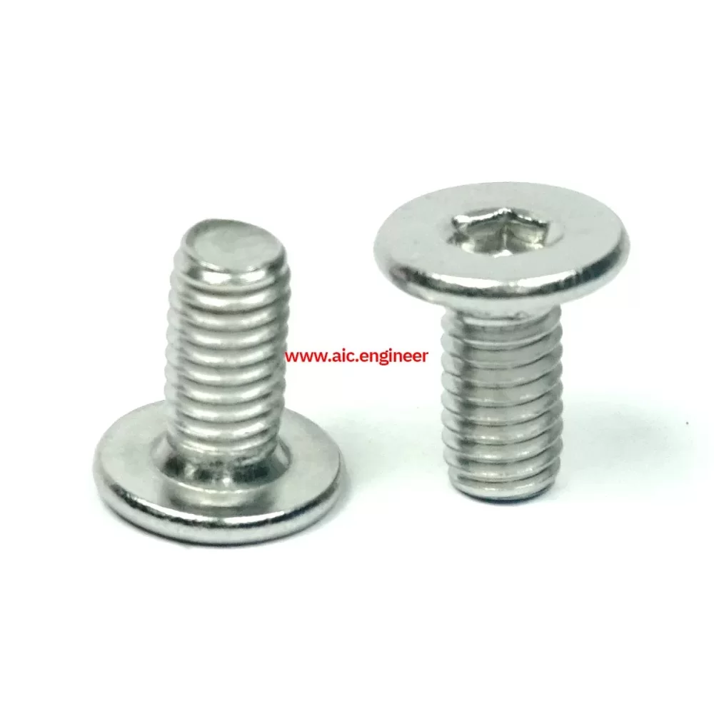 low-cap-screw-stainless-m6x12-3