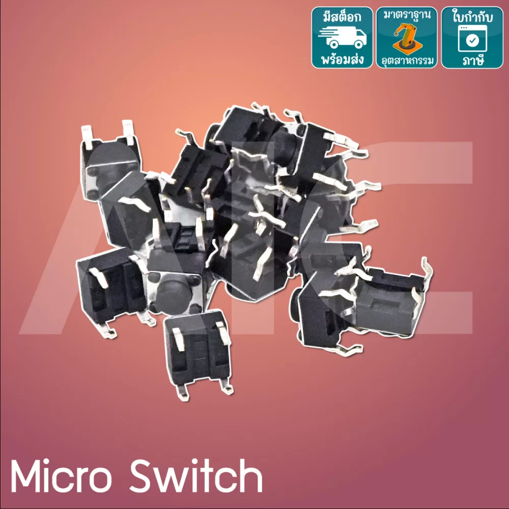 Micro Switch