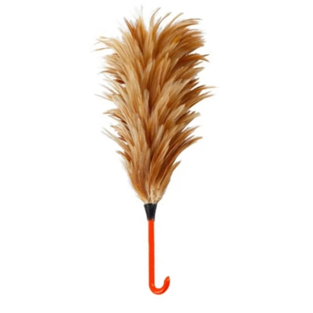 feather duster