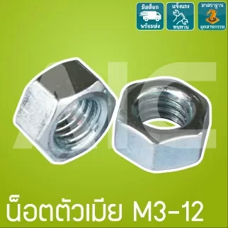น็อตตัวเมียเกลียวมิล M3-12 เหล็กชุบขาว