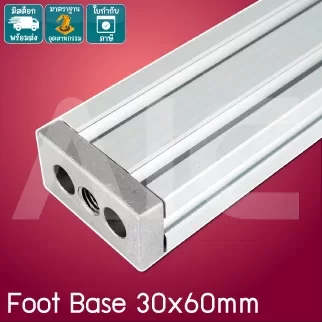 Foot Base 30x60mm เหล็ก/อลูมิเนียม เกลียว M8/10/12 - IEZ-368A