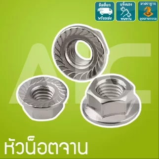 หัวน็อตจาน M5-M12