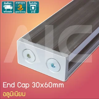 ฝาปิด (End Cap) อลูมิเนียมโปรไฟล์ 30x60มม. อลูมิเนียม สีดำ / เงิน
