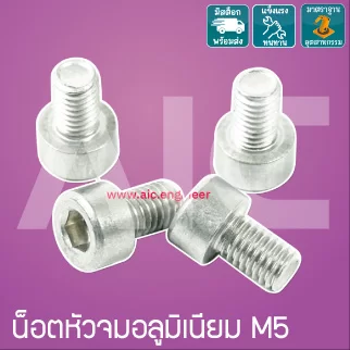 น็อตหัวจมอลูมิเนียม M5-6 สีเงิน/แดง (Aluminum Socket Head Cap Screw)