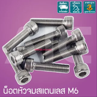 น็อตหัวจมสแตนเลส M6 ยาว 8-25 มม. / Stainless Socket Head Cap Screw M6x8-25mm.
