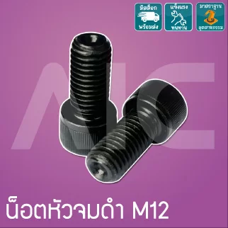 น็อตหัวจมดำ M12 ยาว 25 มม./ Black Socket Head Cap Screw M12x25mm.