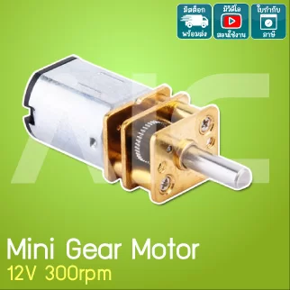 Mini Gear Motor 12V 300rpm
