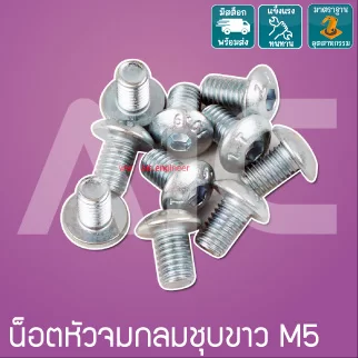 น็อตหัวจมกลมชุบขาว M5 ยาว 8-50 มม.  / Zinc Socket Round Head Cap Screw M5x8-50mm.