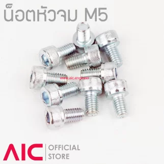 น็อตหัวจมชุบขาว M5 ยาว 8-80 มม.  / Zinc Socket Head Cap Screw M5x8-80mm.