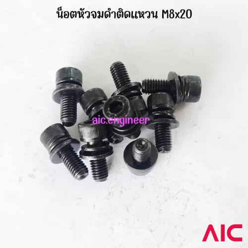 น็อตหัวจมดำติดแหวน M8 ความยาว 20มม.