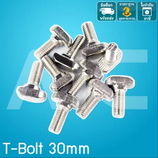 T-Bolt 30mm M6 ความยาว 12/16/25mm BBF-612