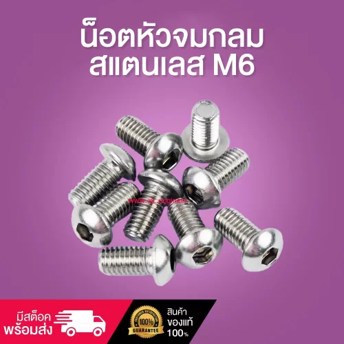 น็อตหัวจมกลมสแตนเลส M6 ยาว 10-25 มม.  / Stainless Socket Round Head Cap Screw M6x10-25mm.