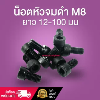 น็อตหัวจมดำ M8 ยาว 12-100 มม. / Black Socket Head Cap Screw M8x12-100mm.