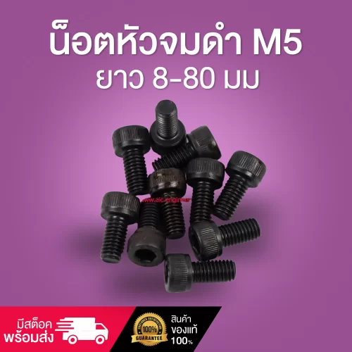 น็อตหัวจมดำ M5 ยาว 8-80 มม.  / Black Socket Head Cap Screw M5x8-80mm.
