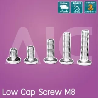Low Cap Screw สแตนเลส M8 ความยาว 8-25มม