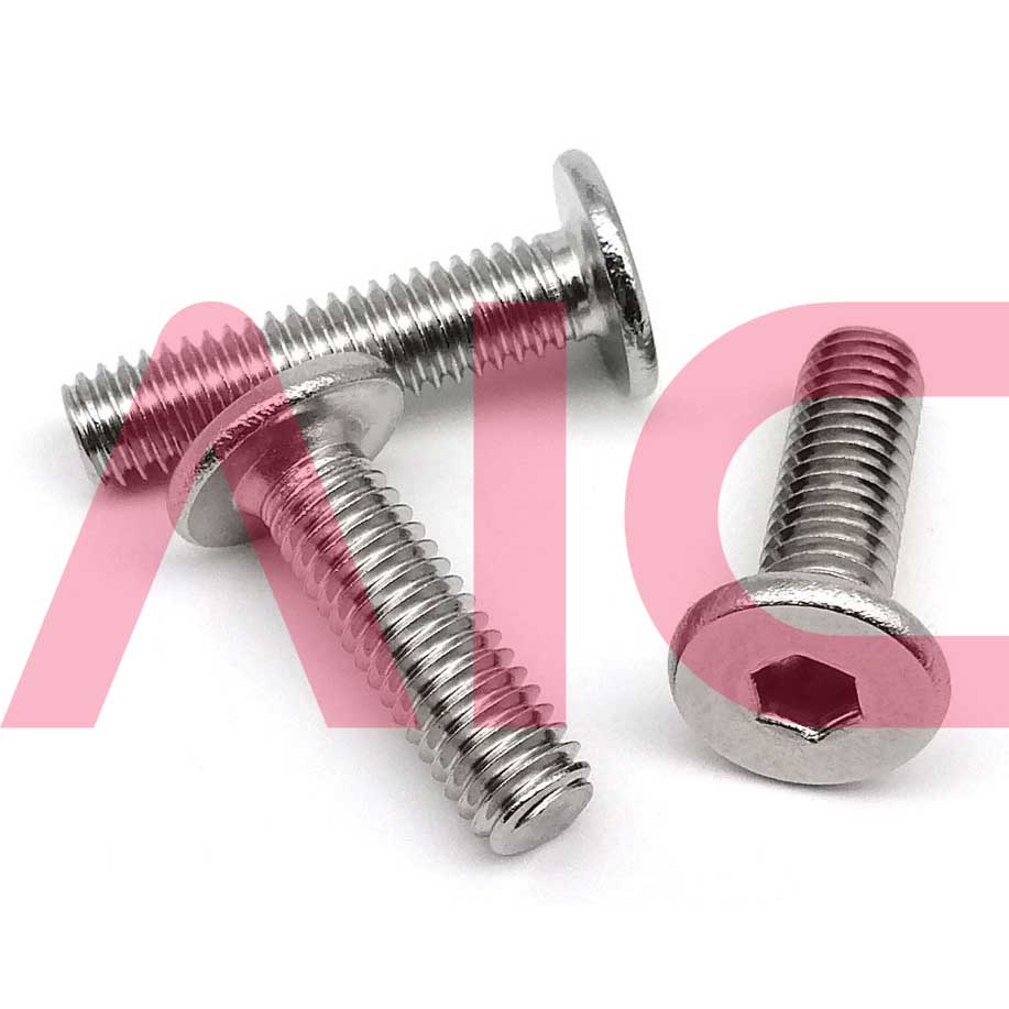 Low Cap Screw สแตนเลส