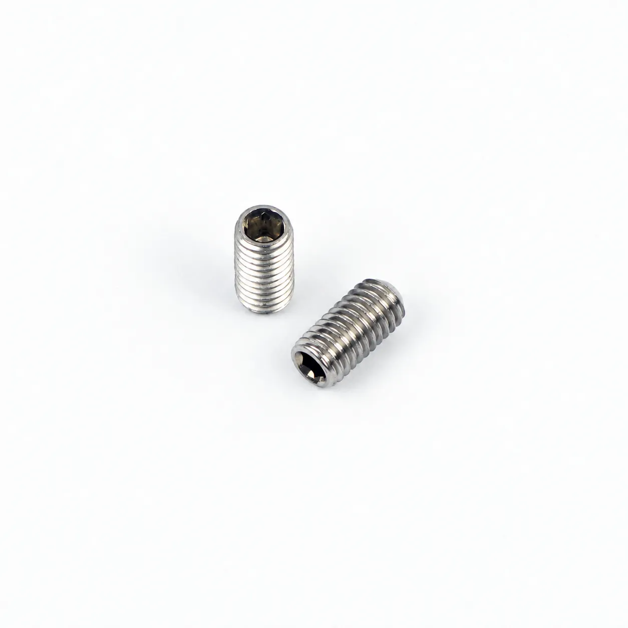EAE-S51 — สกรูตัวหนอนสแตนเลส หัวแบน M5x10