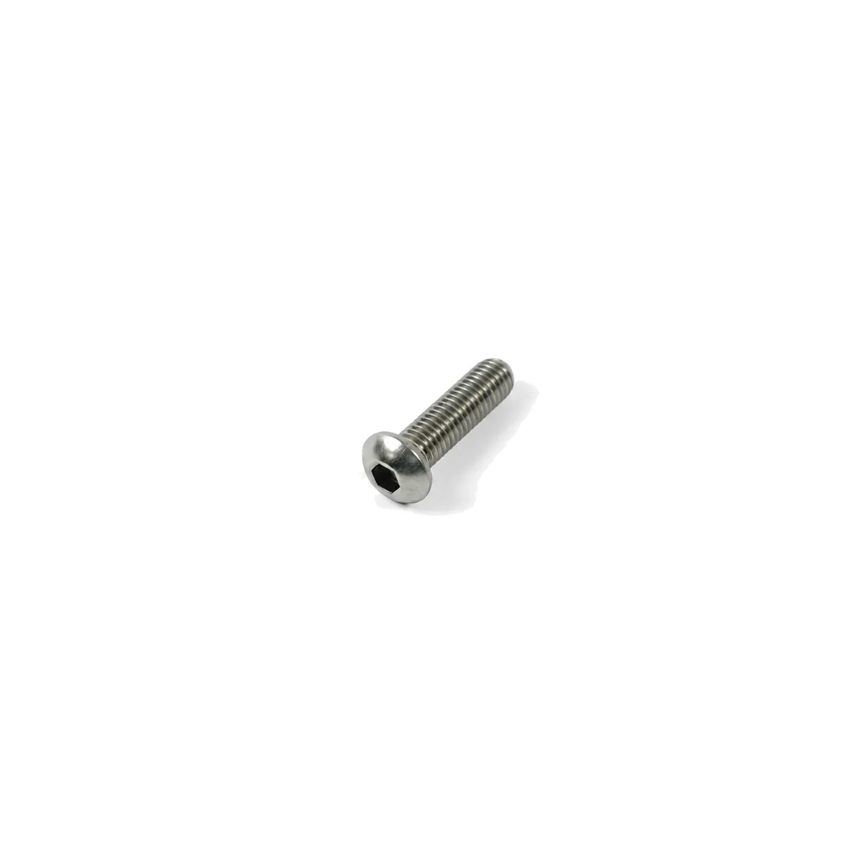 EAF-S83 — น็อตหัวจมกลมสแตนเลส M8x30